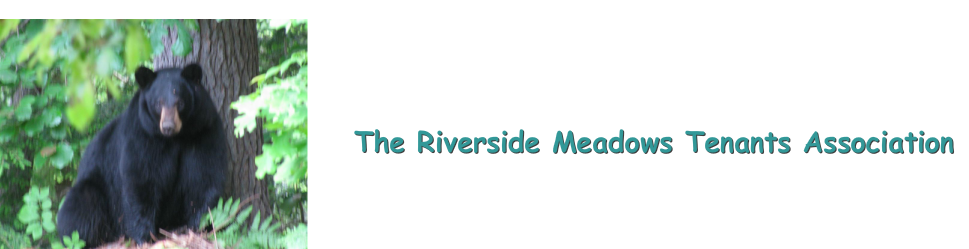 Riverside Meadows Tenants Association